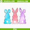 Easter Bunny PNG, Cute Easter PNG, Happy Easter PNG Sublimation